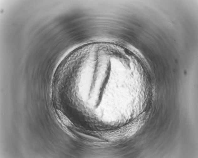 X0000087691236200705251700