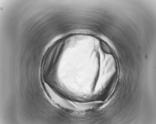 X0000087691237200705251700