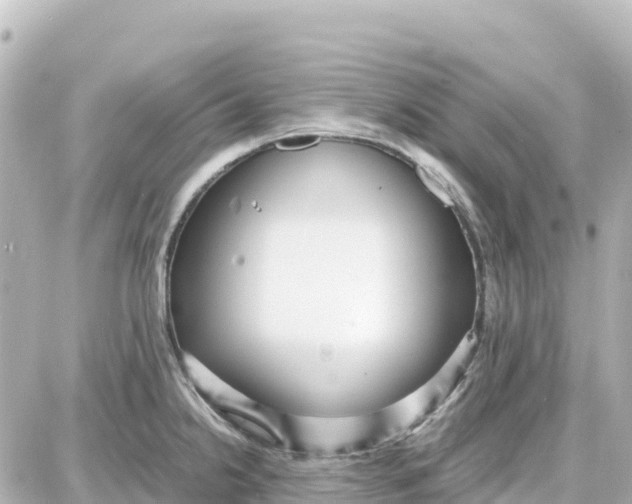 X0000087691238200705251700