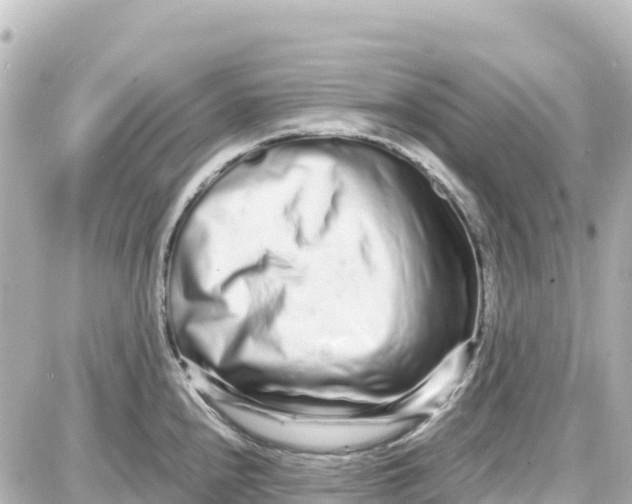 X0000087691240200705251701