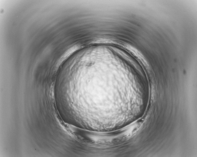 X0000087691241200705251701