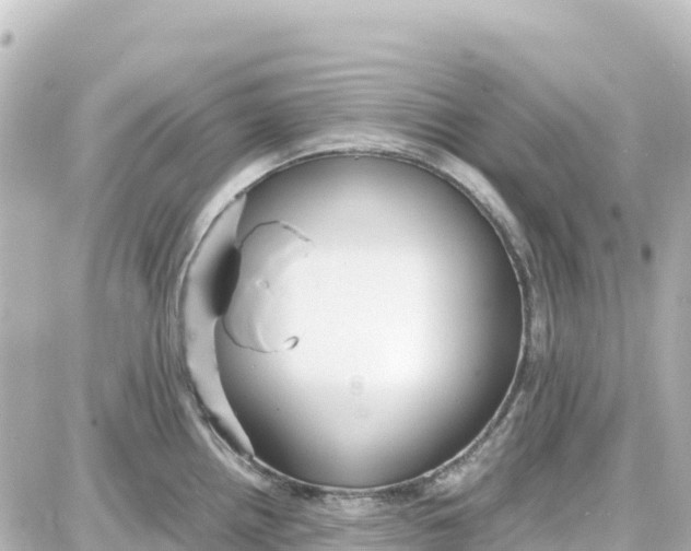 X0000087691242200705251701