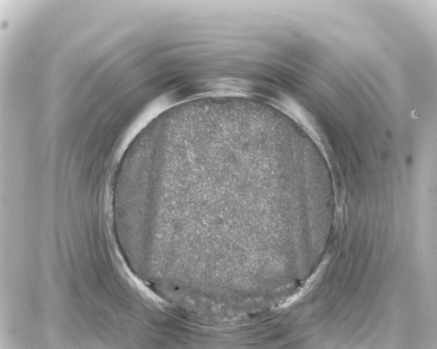 X0000087691243200705251701