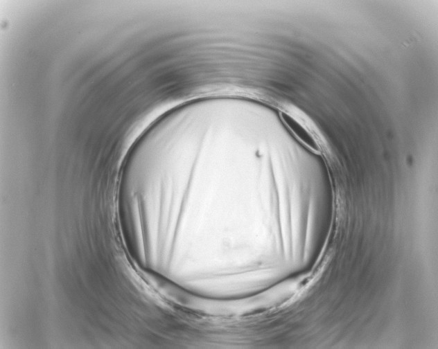 X0000087691244200705251701