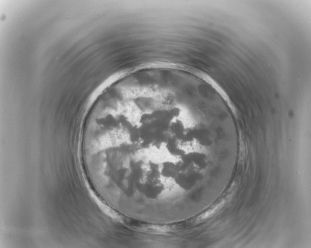 X0000087691245200705251701