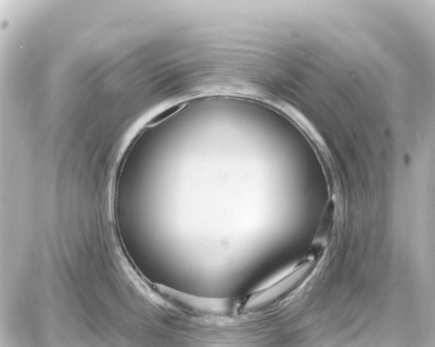 X0000087691246200705251701