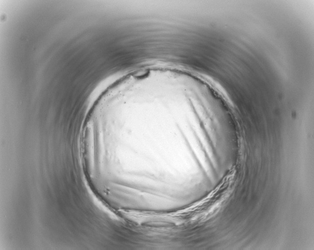 X0000087691247200705251701