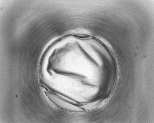 X0000087691248200705251701