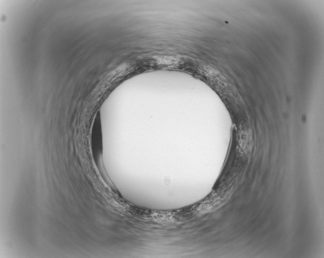 X0000087691249200705251700