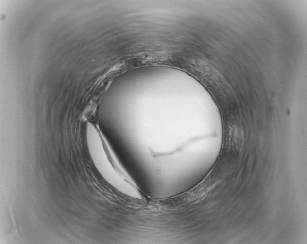 X0000087691250200705251700