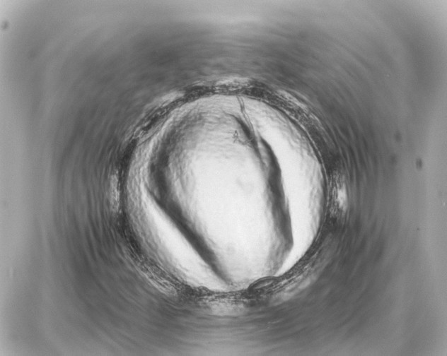 X0000087691252200705251700