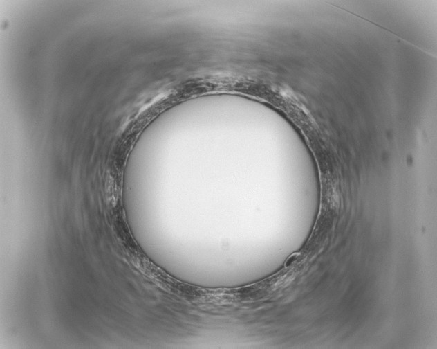 X0000087691253200705251700