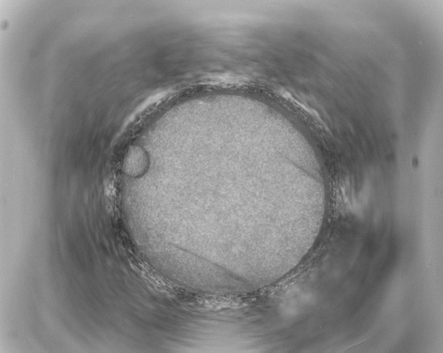 X0000087691254200705251700