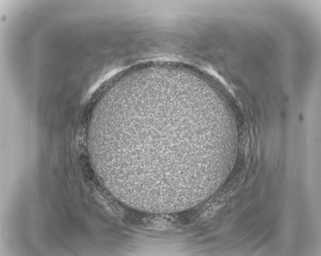 X0000087691255200705251700