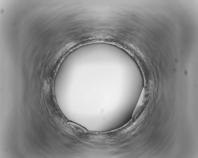 X0000087691257200705251700