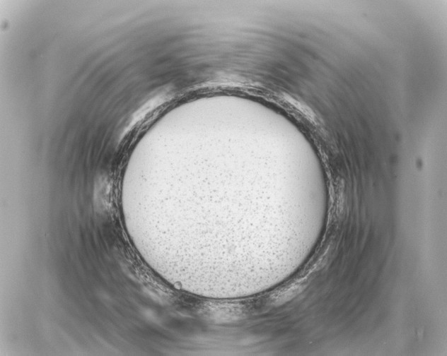 X0000087691258200705251700