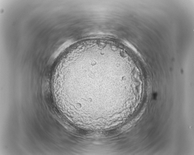 X0000087691259200705251700