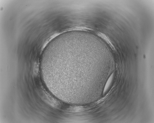 X0000087691260200705251700