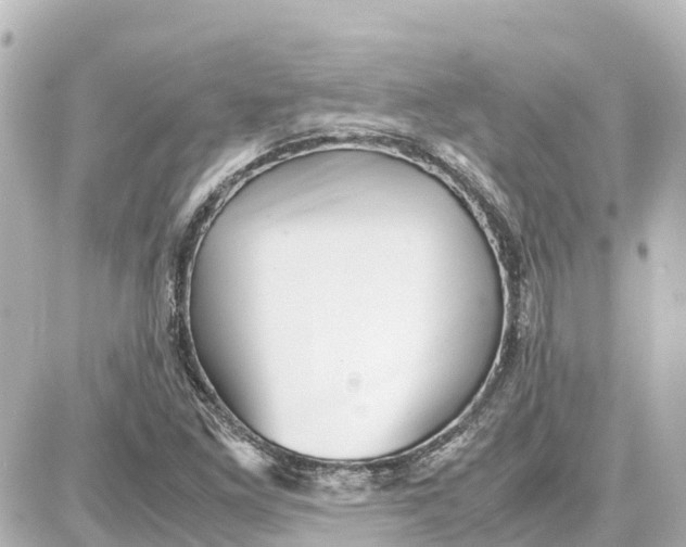 X0000087691261200705251700