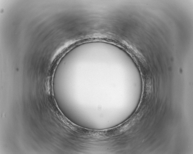 X0000087691262200705251700