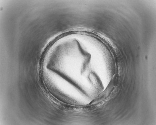 X0000087691264200705251700