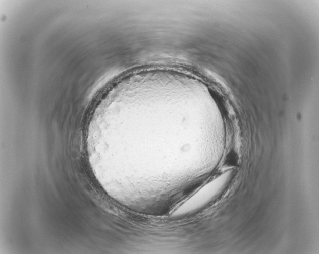 X0000087691267200705251700