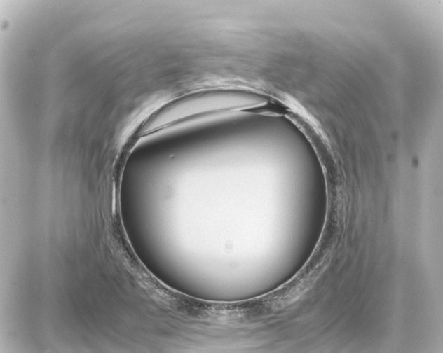 X0000087691269200705251700