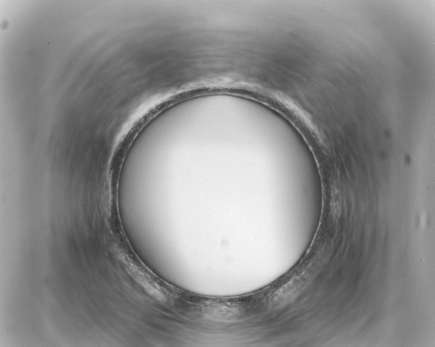 X0000087691270200705251700