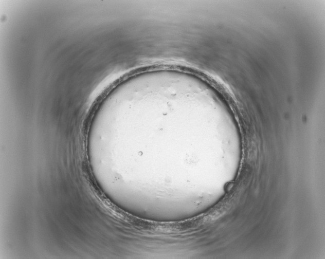 X0000087691271200705251700