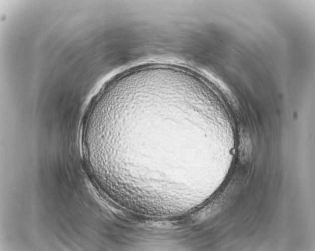 X0000087691272200705251659