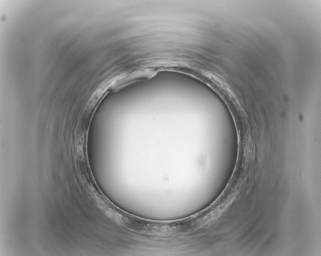 X0000087691273200705251659