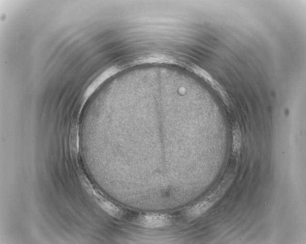 X0000087691274200705251659