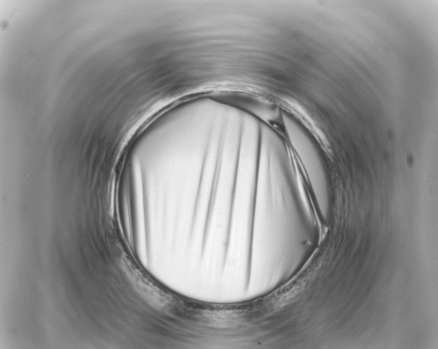 X0000087691276200705251659