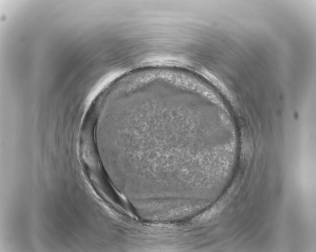 X0000087691277200705251659