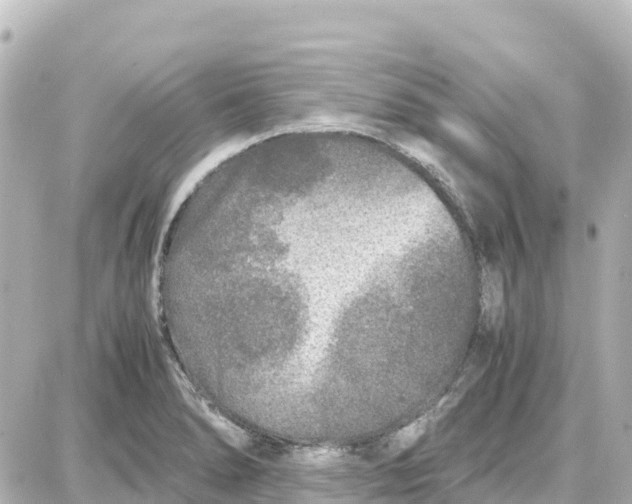 X0000087691278200705251659