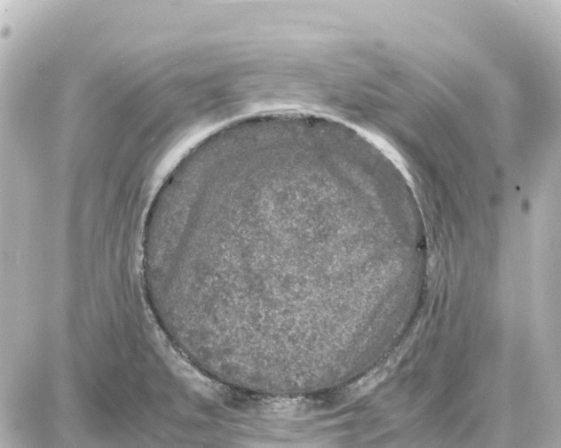 X0000087691279200705251659