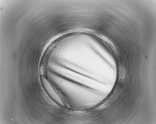 X0000087691280200705251659