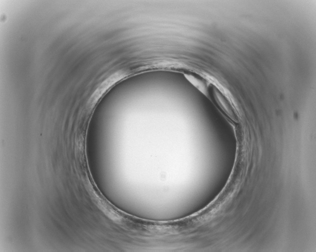 X0000087691281200705251659