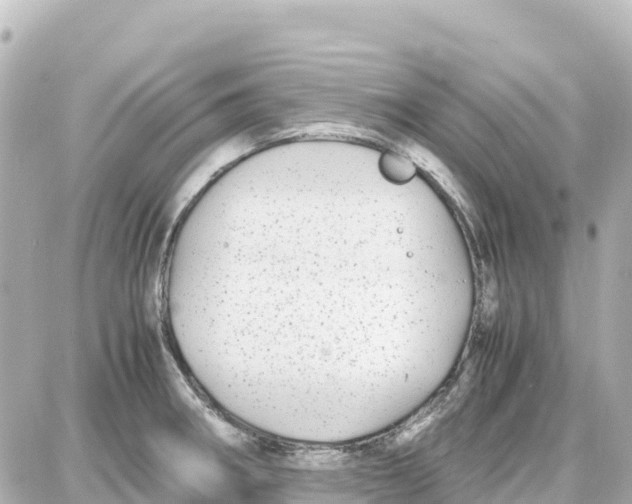 X0000087691282200705251659