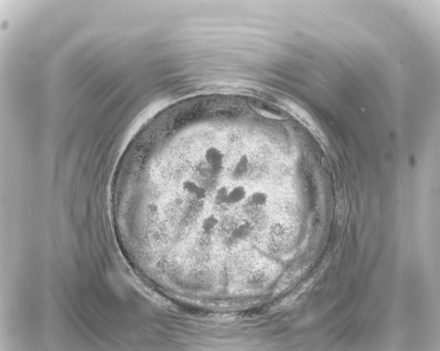 X0000087691283200705251659