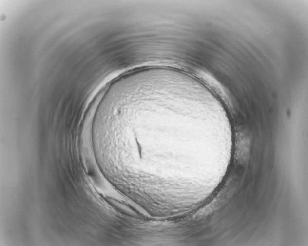 X0000087691284200705251659