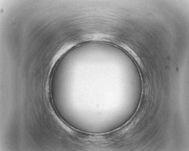 X0000087691285200705251659