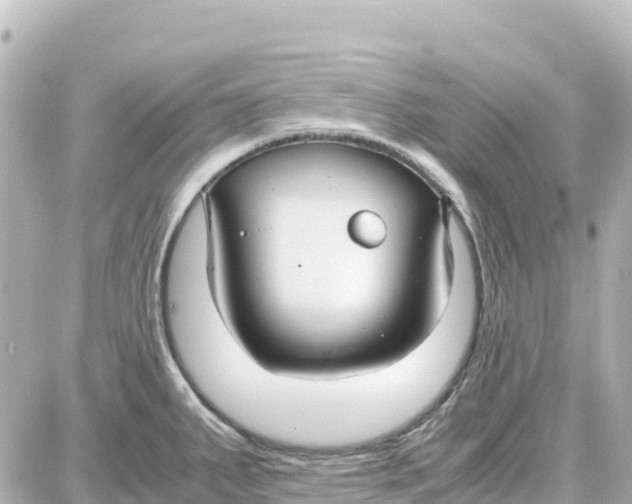 X0000087691287200705251659