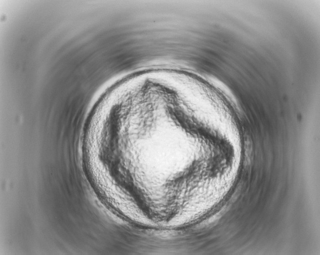 X0000087691288200705251659