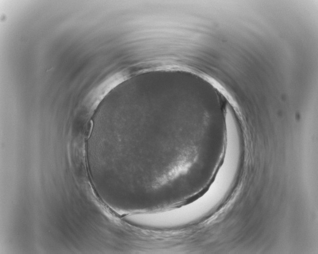 X0000087691289200705251659