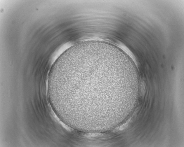 X0000087691290200705251659