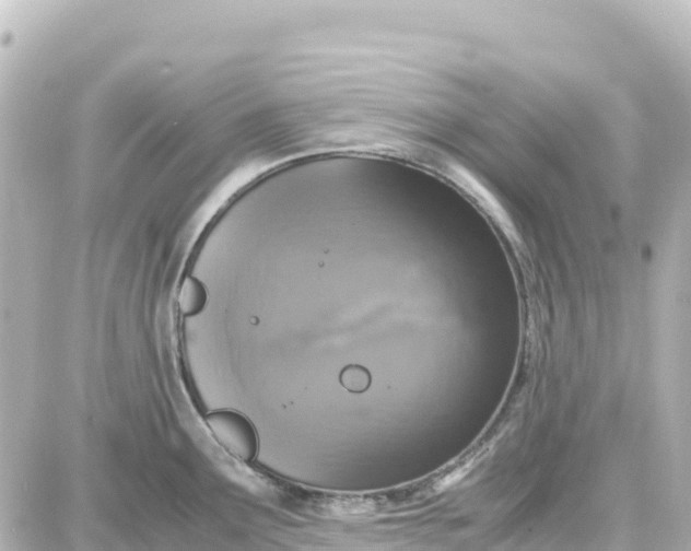 X0000087691291200705251659