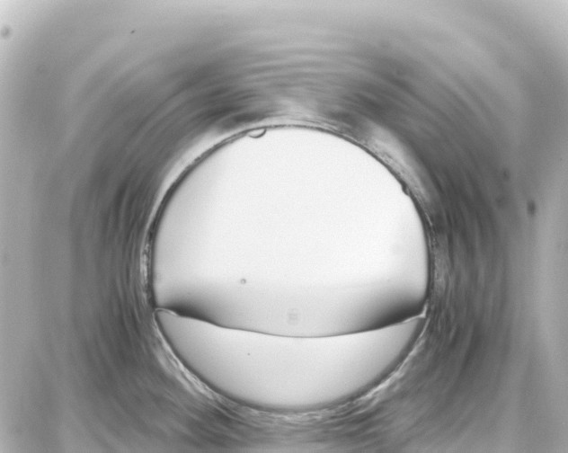 X0000087691292200705251659