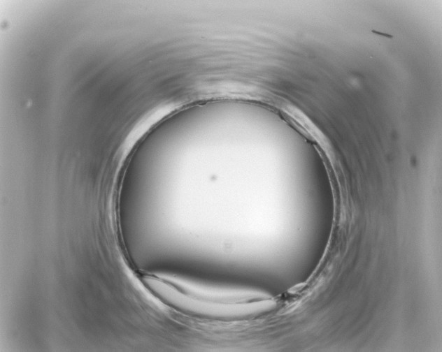 X0000087691293200705251659