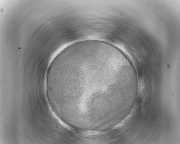 X0000087691294200705251659